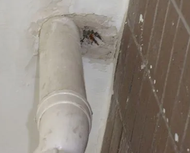 高阳漏水检测哪家好